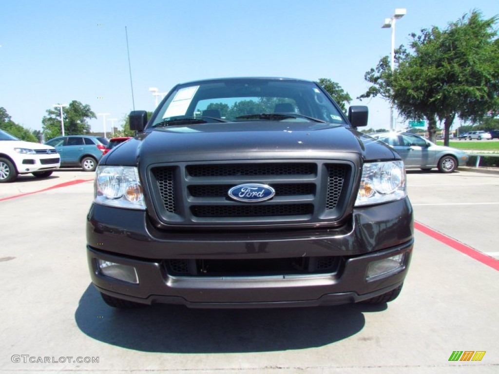 2005 F150 XL Regular Cab - Dark Stone Metallic / Medium Flint Grey photo #7