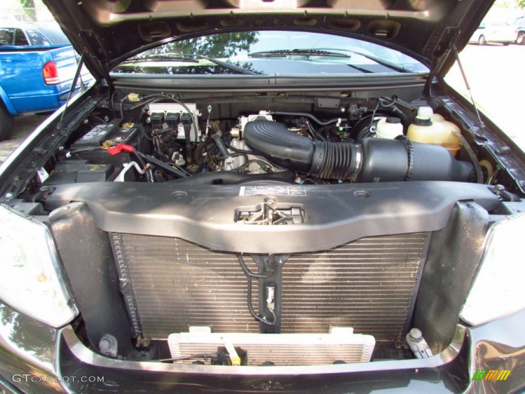 2005 Ford F150 XL Regular Cab 4.6 Liter SOHC 16-Valve Triton V8 Engine Photo #67254459