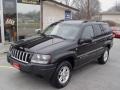 2004 Brillant Black Crystal Pearl Jeep Grand Cherokee Laredo 4x4  photo #3