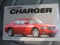 Silver Steel Metallic - Charger R/T Photo No. 19