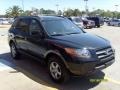 Ebony Black - Santa Fe GLS Photo No. 6