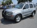 2003 Silver Ice Metallic Nissan Xterra XE V6 4x4  photo #11