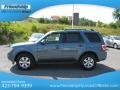 2010 Steel Blue Metallic Ford Escape Limited  photo #2