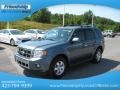 2010 Steel Blue Metallic Ford Escape Limited  photo #3