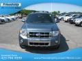 2010 Steel Blue Metallic Ford Escape Limited  photo #4