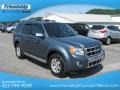 2010 Steel Blue Metallic Ford Escape Limited  photo #5