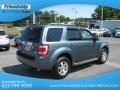 2010 Steel Blue Metallic Ford Escape Limited  photo #7