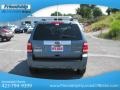 2010 Steel Blue Metallic Ford Escape Limited  photo #8