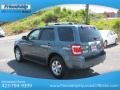 2010 Steel Blue Metallic Ford Escape Limited  photo #9