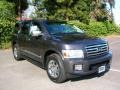 Silver Graphite Gray - QX 56 4WD Photo No. 4