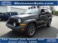 Black 2006 Jeep Liberty Renegade 4x4