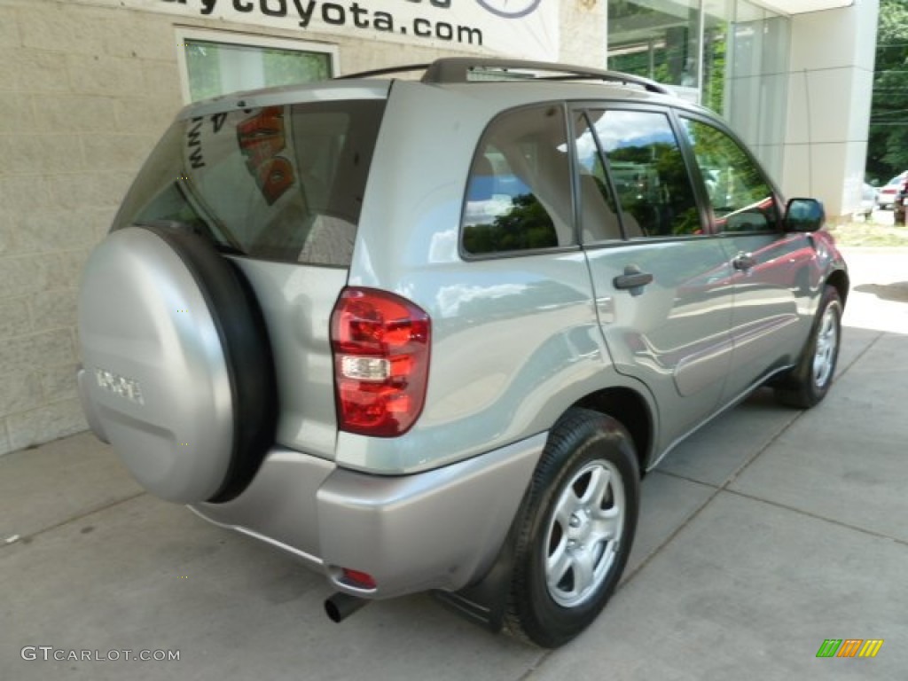 2004 RAV4  - Everglade Green Metallic / Taupe photo #2