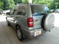 2004 Everglade Green Metallic Toyota RAV4   photo #4