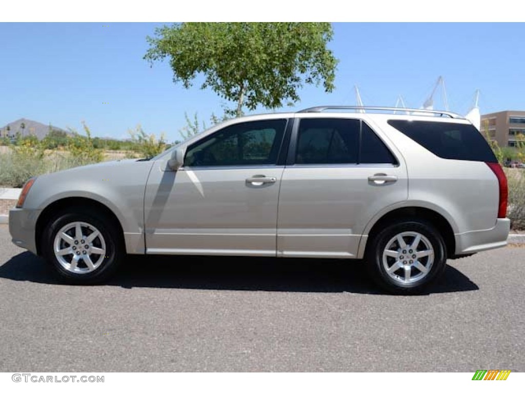 Gold Mist 2009 Cadillac SRX 4 V6 AWD Exterior Photo #67294178