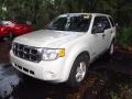 Oxford White - Escape XLT Photo No. 4