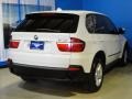 Alpine White - X5 xDrive30i Photo No. 9