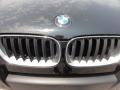 2004 Black Sapphire Metallic BMW X3 2.5i  photo #36