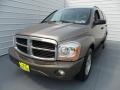 2006 Light Khaki Metallic Dodge Durango SLT  photo #6