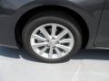 Magnetic Gray Metallic - Camry XLE Photo No. 10
