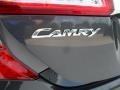 Magnetic Gray Metallic - Camry XLE Photo No. 13