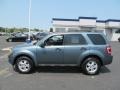 2010 Steel Blue Metallic Ford Escape XLT 4WD  photo #7