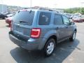 2010 Steel Blue Metallic Ford Escape XLT 4WD  photo #10