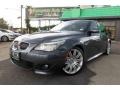 Platinum Grey Metallic 2008 BMW 5 Series 550i Sedan