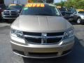 2009 Light Sandstone Metallic Dodge Journey SE  photo #2