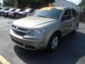 2009 Light Sandstone Metallic Dodge Journey SE  photo #3