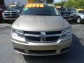 2009 Light Sandstone Metallic Dodge Journey SE  photo #4