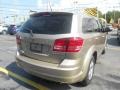 2009 Light Sandstone Metallic Dodge Journey SE  photo #7