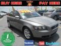 Flint Gray Metallic - S40 2.4i Photo No. 1