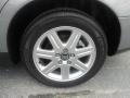 Flint Gray Metallic - S40 2.4i Photo No. 20