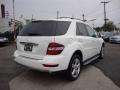 Arctic White - ML 350 4Matic Photo No. 3