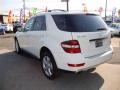Arctic White - ML 350 4Matic Photo No. 4