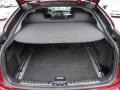 Black Nevada Leather Trunk Photo for 2009 BMW X6 #67325380