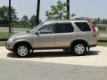 Sahara Sand Metallic - CR-V SE 4WD Photo No. 8