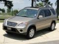 Sahara Sand Metallic - CR-V SE 4WD Photo No. 10