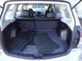 2009 Spark Silver Metallic Subaru Forester 2.5 X  photo #15