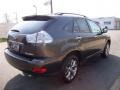 Smokey Granite - RX 350 AWD Photo No. 6