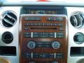 Medium Stone Leather/Sienna Brown Controls Photo for 2009 Ford F150 #67330016