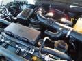 5.4 Liter SOHC 24-Valve VVT Triton V8 2009 Ford F150 Platinum SuperCrew Engine