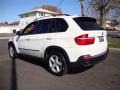 Alpine White - X5 3.0si Photo No. 4