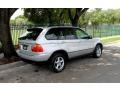 Titanium Silver Metallic - X5 3.0i Photo No. 8