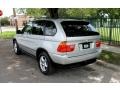 Titanium Silver Metallic - X5 3.0i Photo No. 9