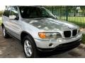 Titanium Silver Metallic - X5 3.0i Photo No. 13