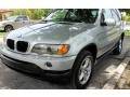 Titanium Silver Metallic - X5 3.0i Photo No. 14