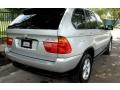 Titanium Silver Metallic - X5 3.0i Photo No. 16