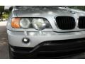 Titanium Silver Metallic - X5 3.0i Photo No. 17