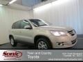 Reflex Silver Metallic - Tiguan S Photo No. 1